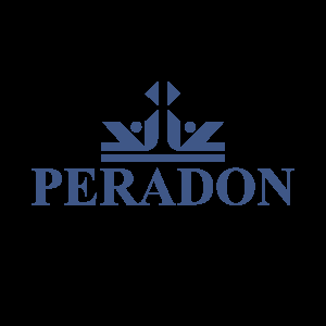 Black  & Blue Logo