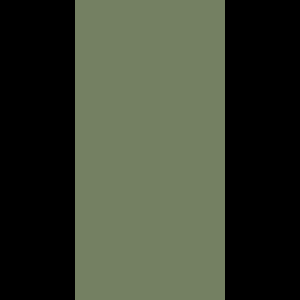 Black & Green